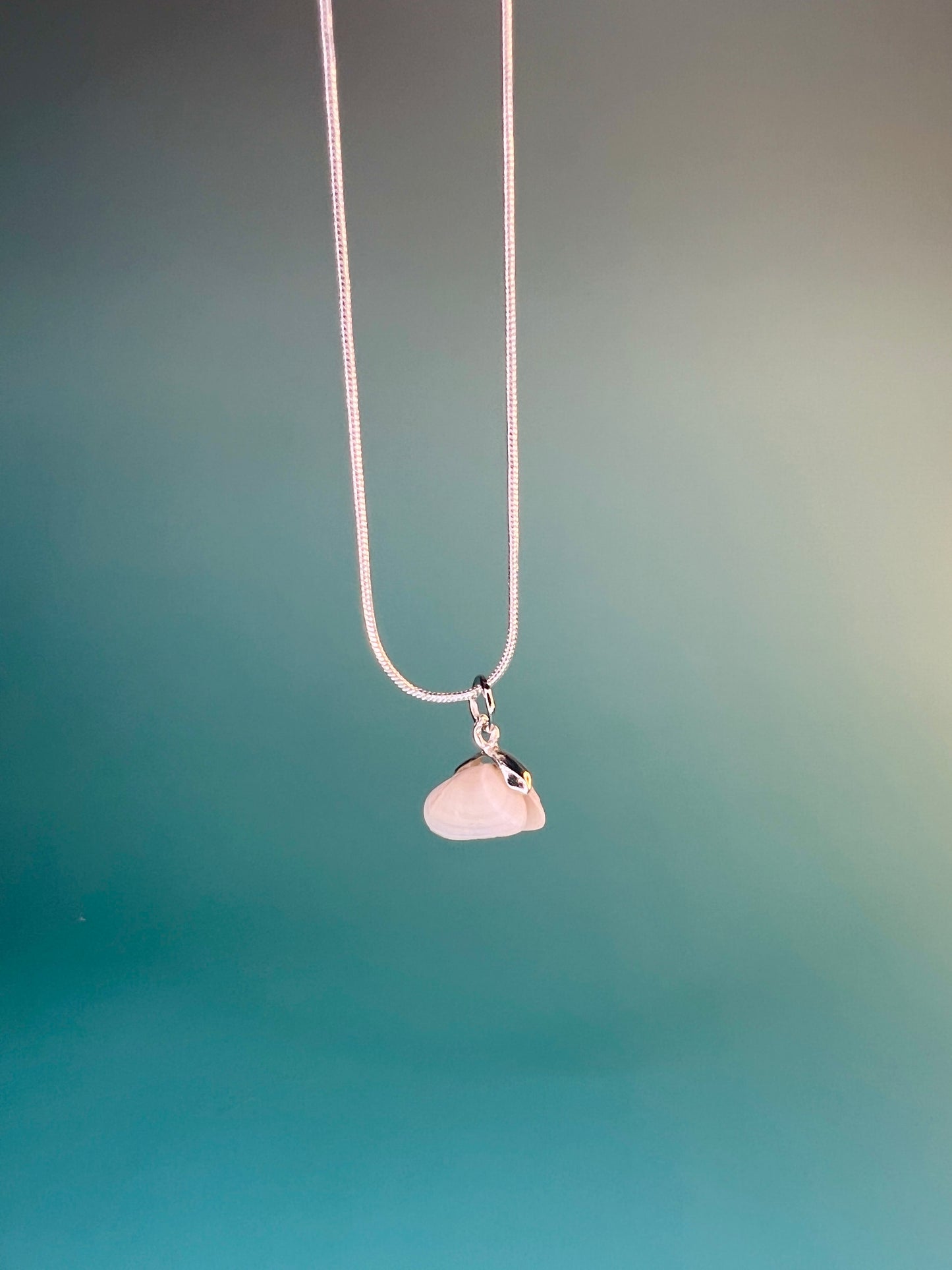 Coquina Pearl Locket Charm Necklace - Pilot Product