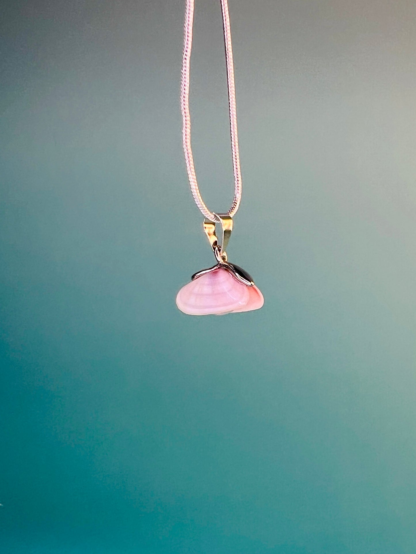 Coquina Pearl Locket Charm Necklace - Pilot Product