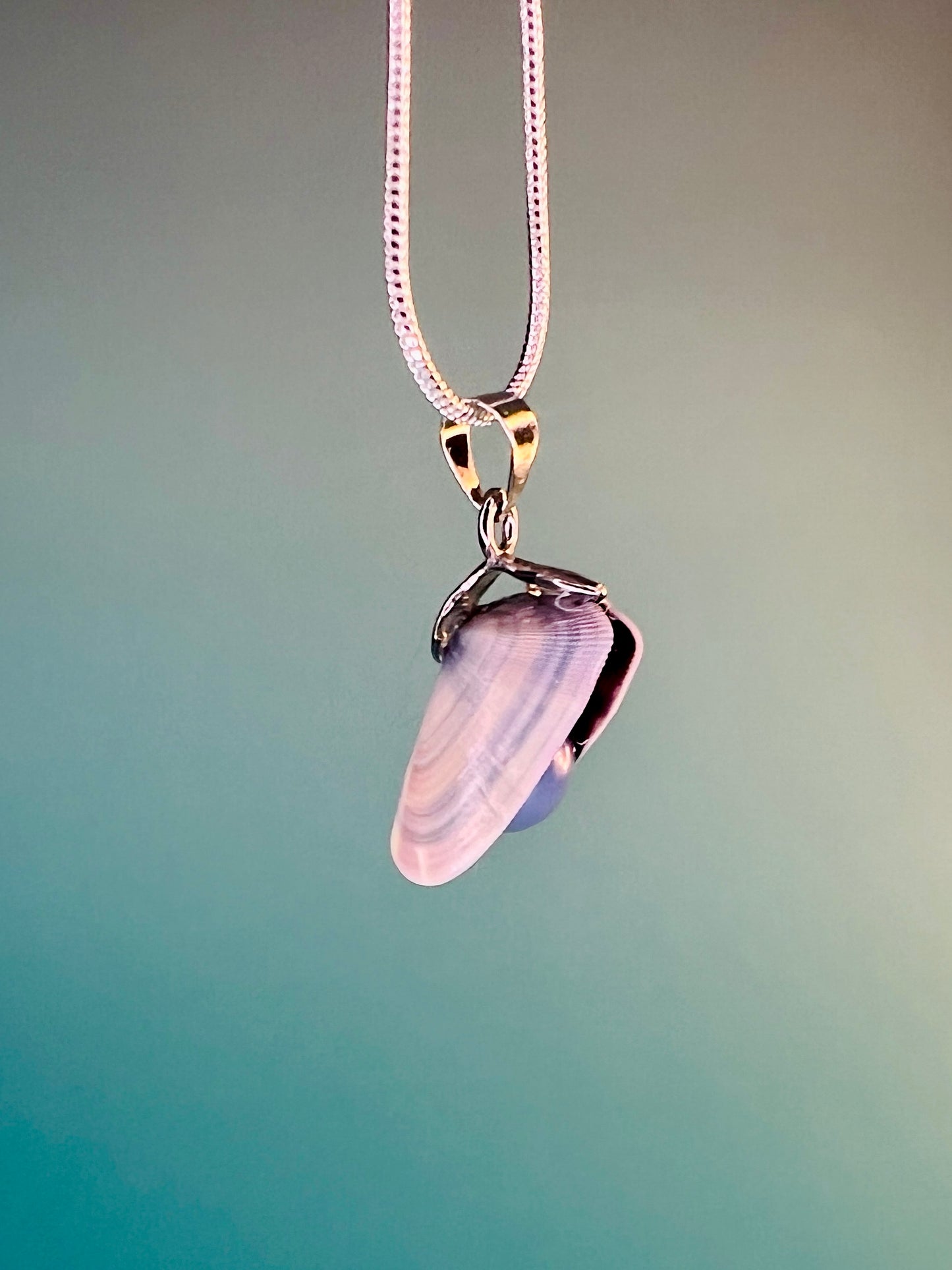 Coquina Pearl Locket Charm Necklace - Pilot Product
