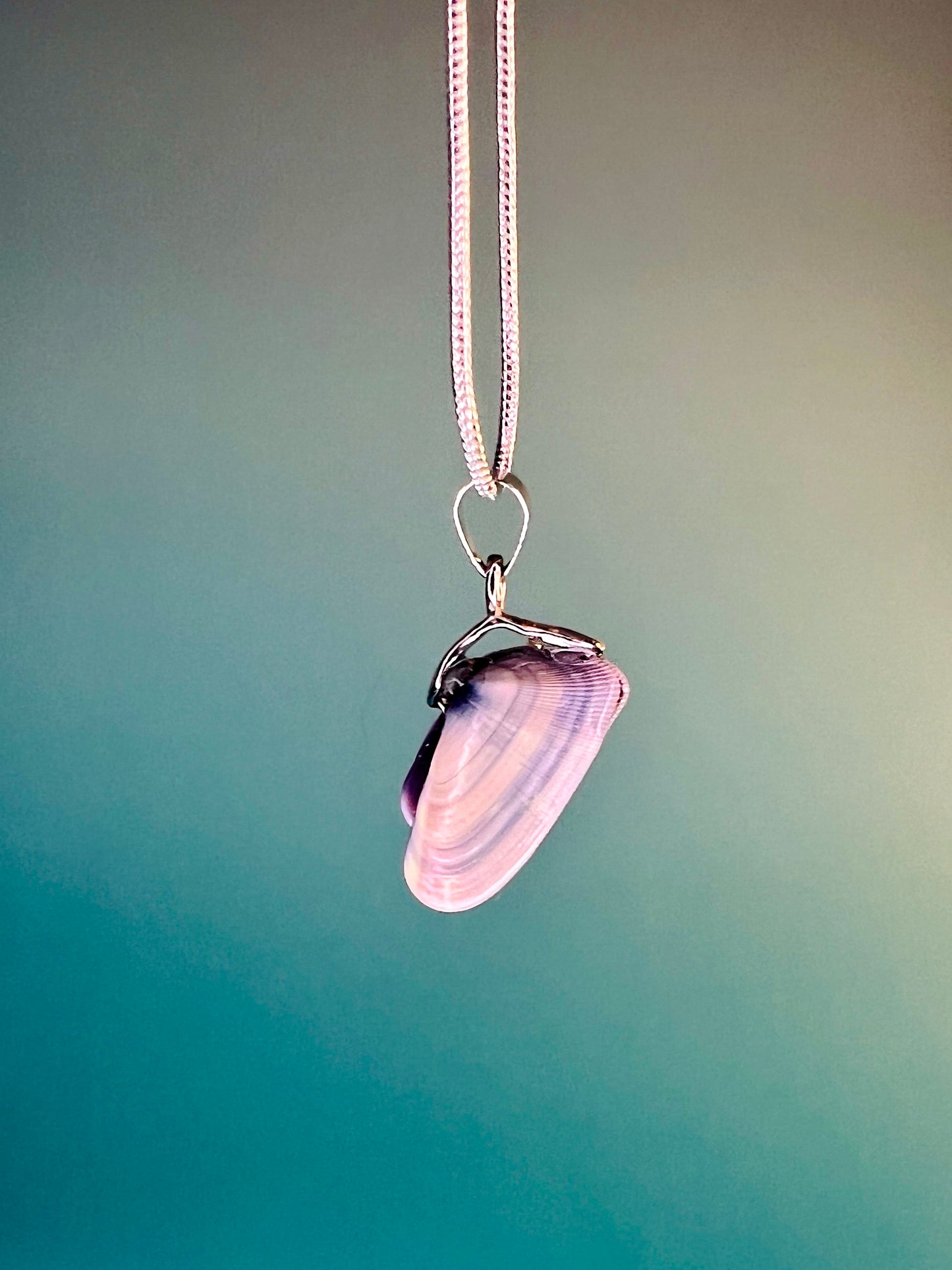 Coquina Pearl Locket Charm Necklace - Pilot Product