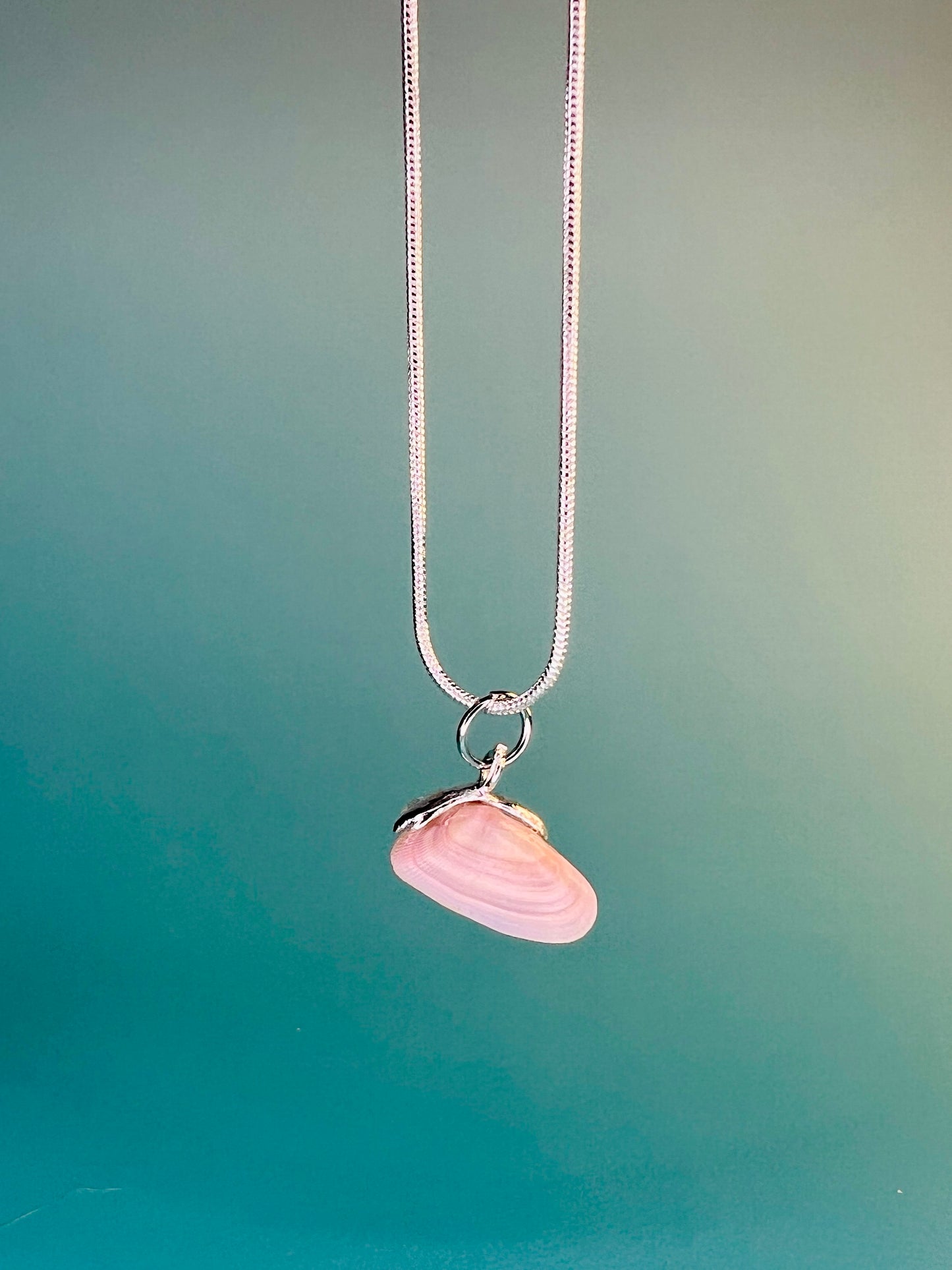 Coquina Pearl Locket Charm Necklace - Pilot Product