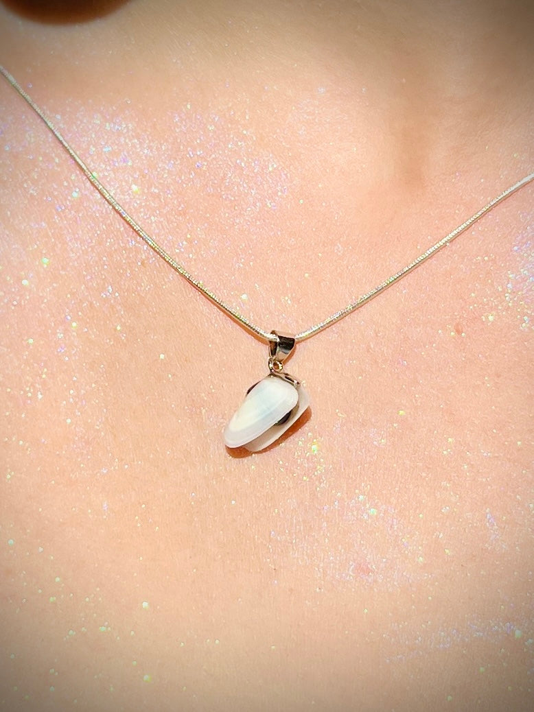 Coquina Pearl Locket Charm Necklace - Pilot Product