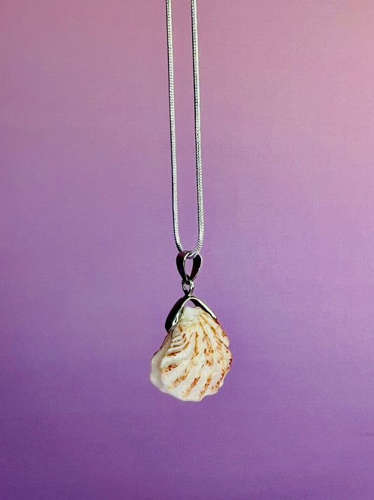Atlantic Kitten's Paw Pendant Necklace - Pilot Product