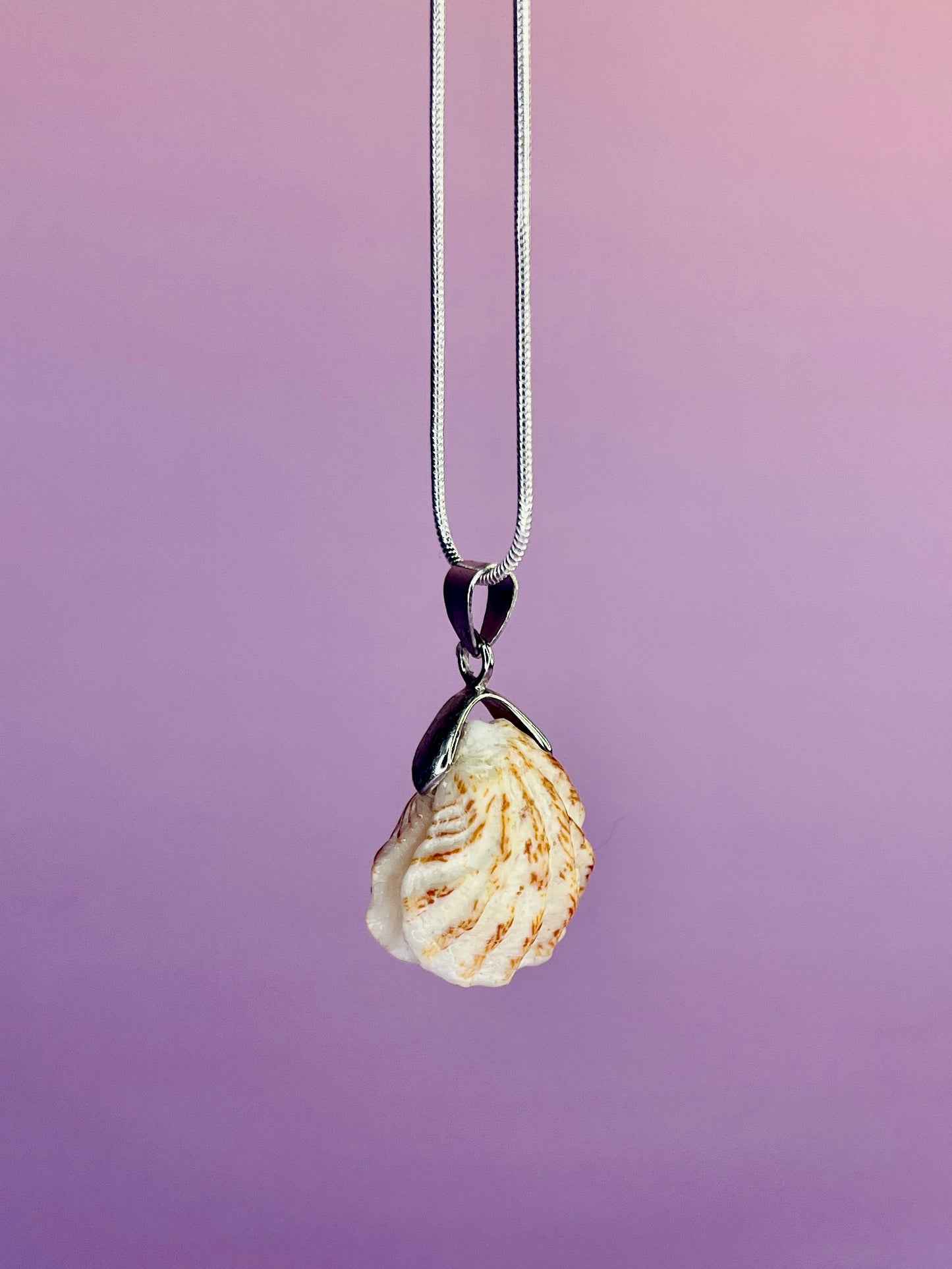 Atlantic Kitten's Paw Pendant Necklace - Pilot Product