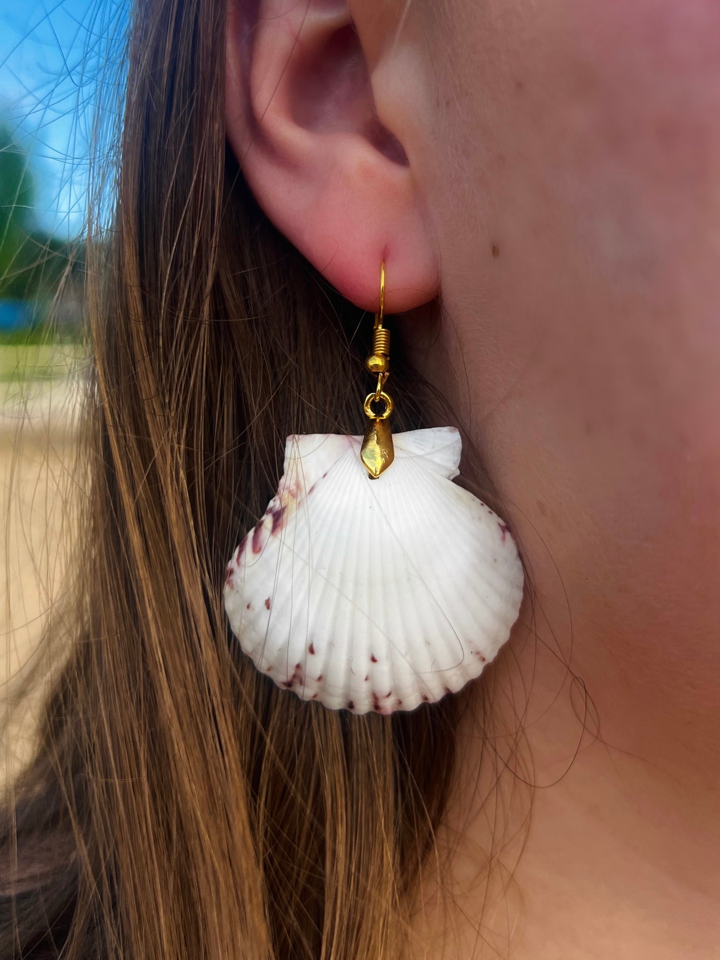 Calico Scallop Dangle Earrings