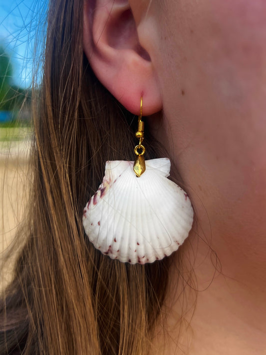 Calico Scallop Dangle Earrings