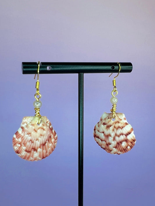Calico Scallop Dangle Earrings