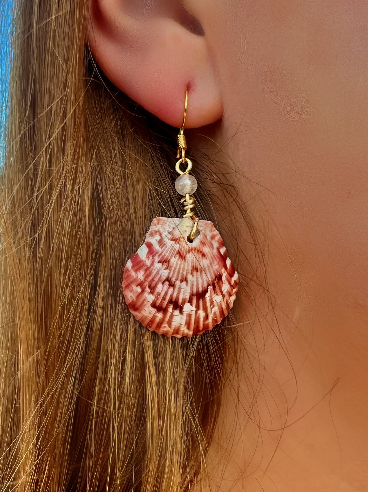 Calico Scallop Dangle Earrings