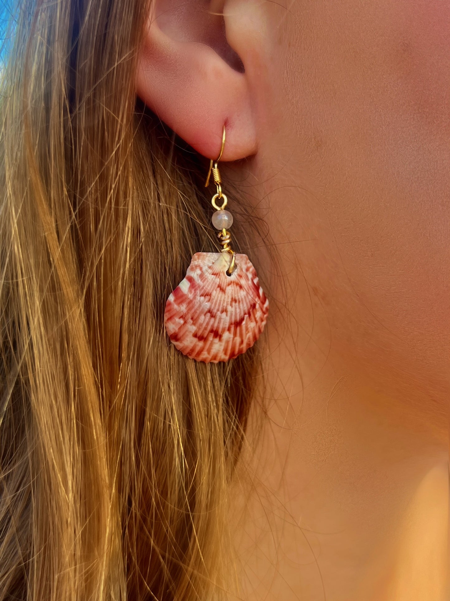 Calico Scallop Dangle Earrings
