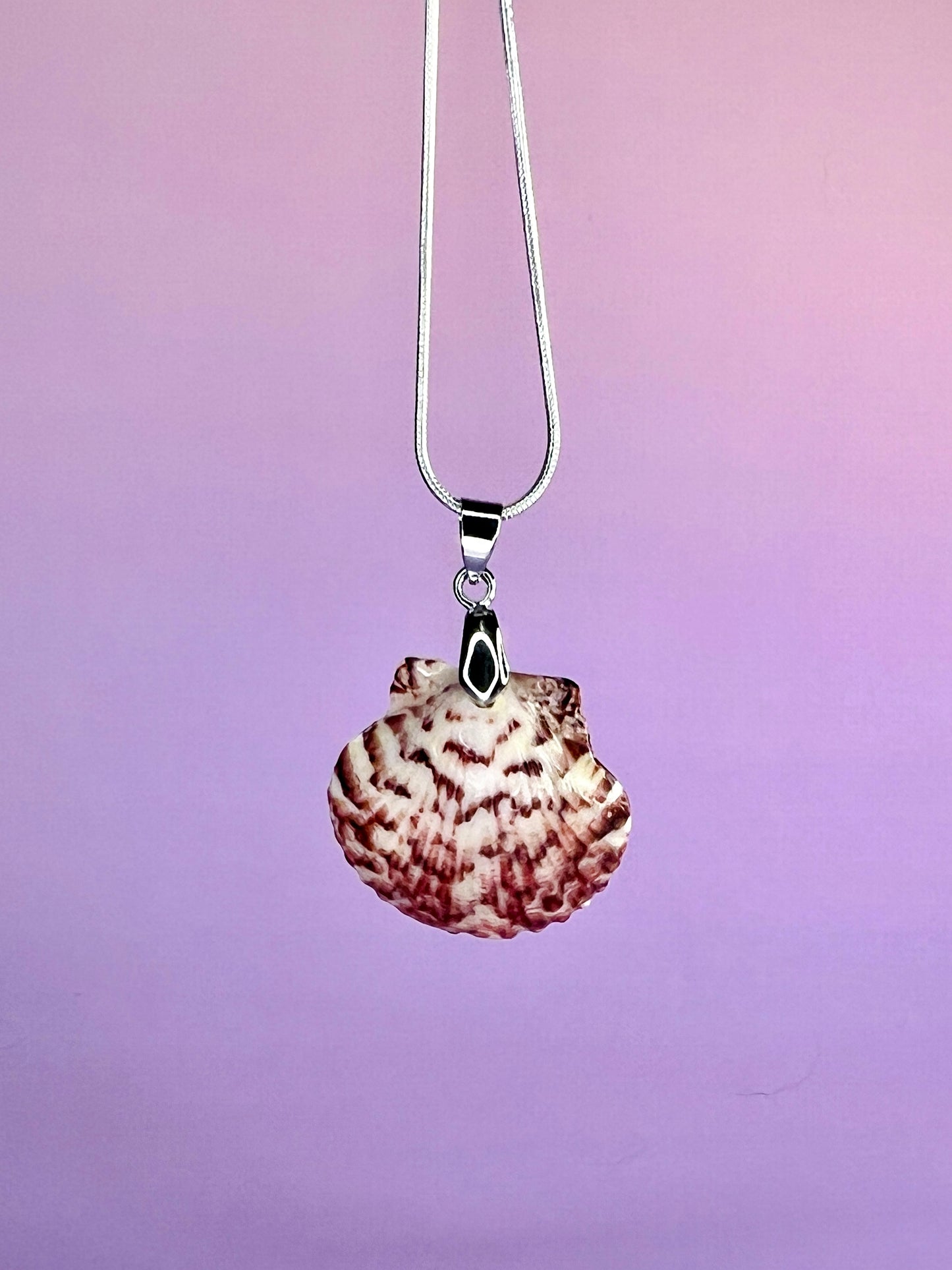 Calico Scallop Pendant Necklace