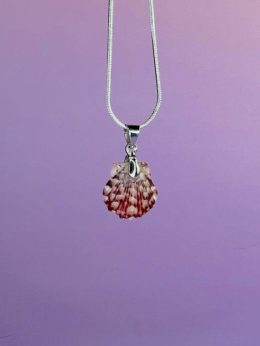 Petite Calico Scallop Pendant Necklace