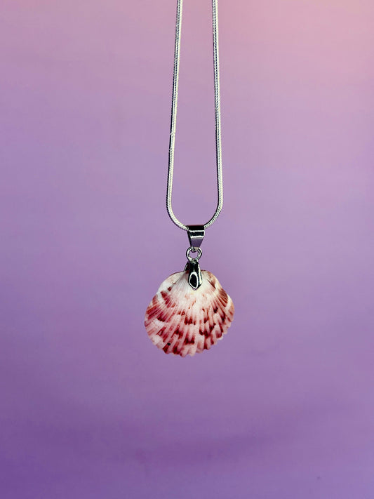 Calico Scallop Pendant Necklace