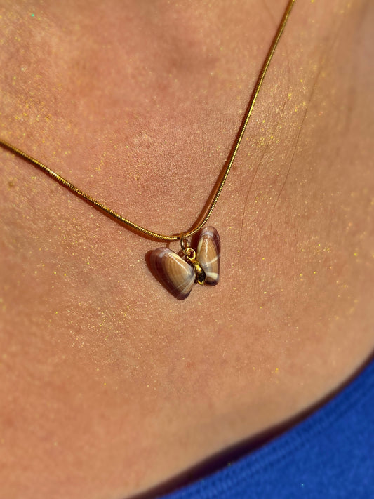 Coquina Shell Butterfly Pendant Necklace