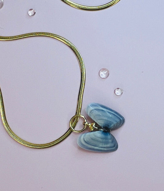 Coquina Shell Butterfly Pendant Necklace