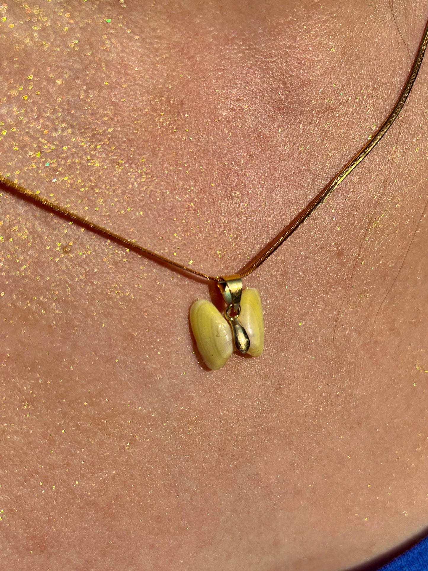 Coquina Shell Butterfly Pendant Necklace