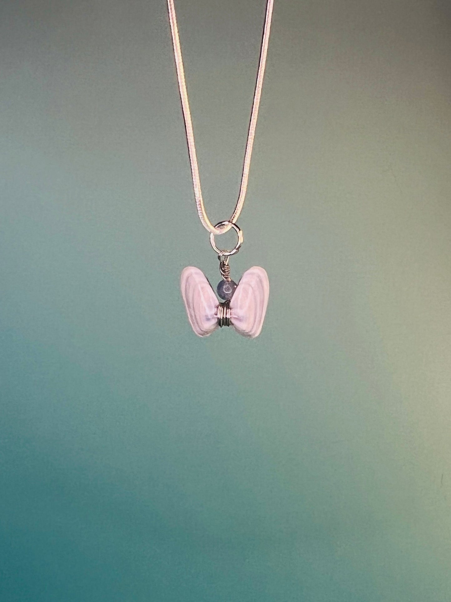 Coquina Shell Butterfly Pendant Necklace
