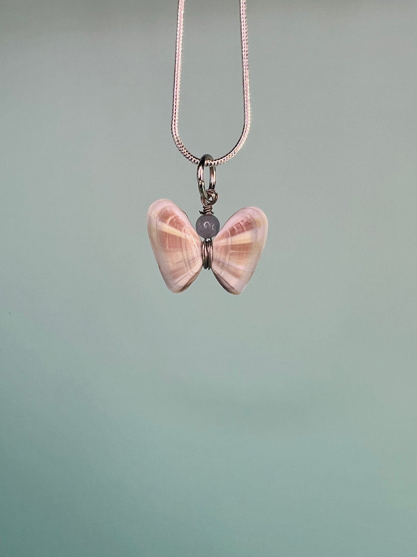 Coquina Shell Butterfly Pendant Necklace