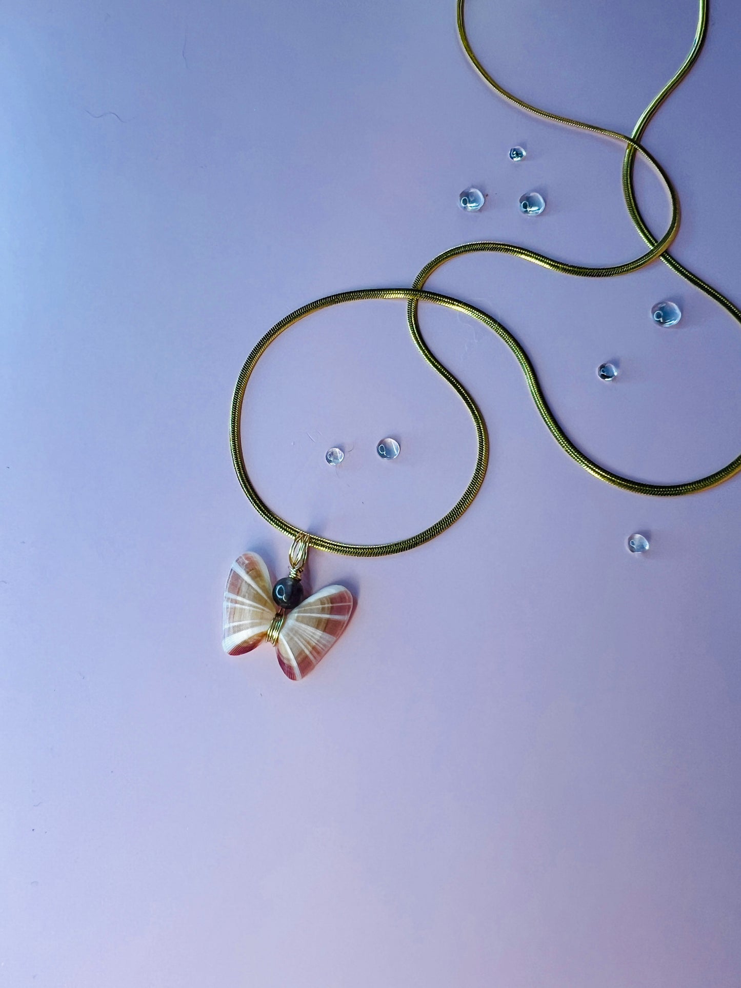 Coquina Shell Butterfly Pendant Necklace