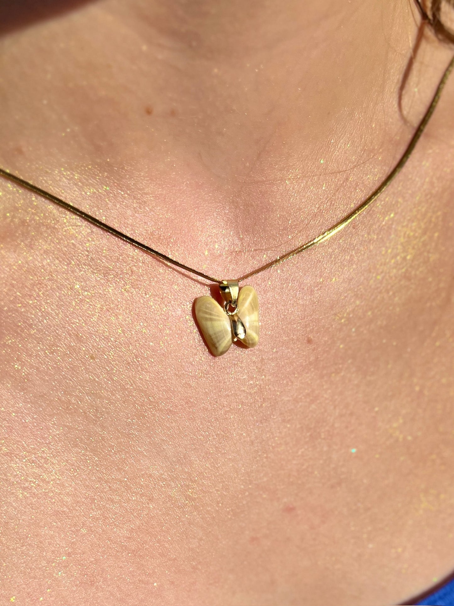 Coquina Shell Butterfly Pendant Necklace