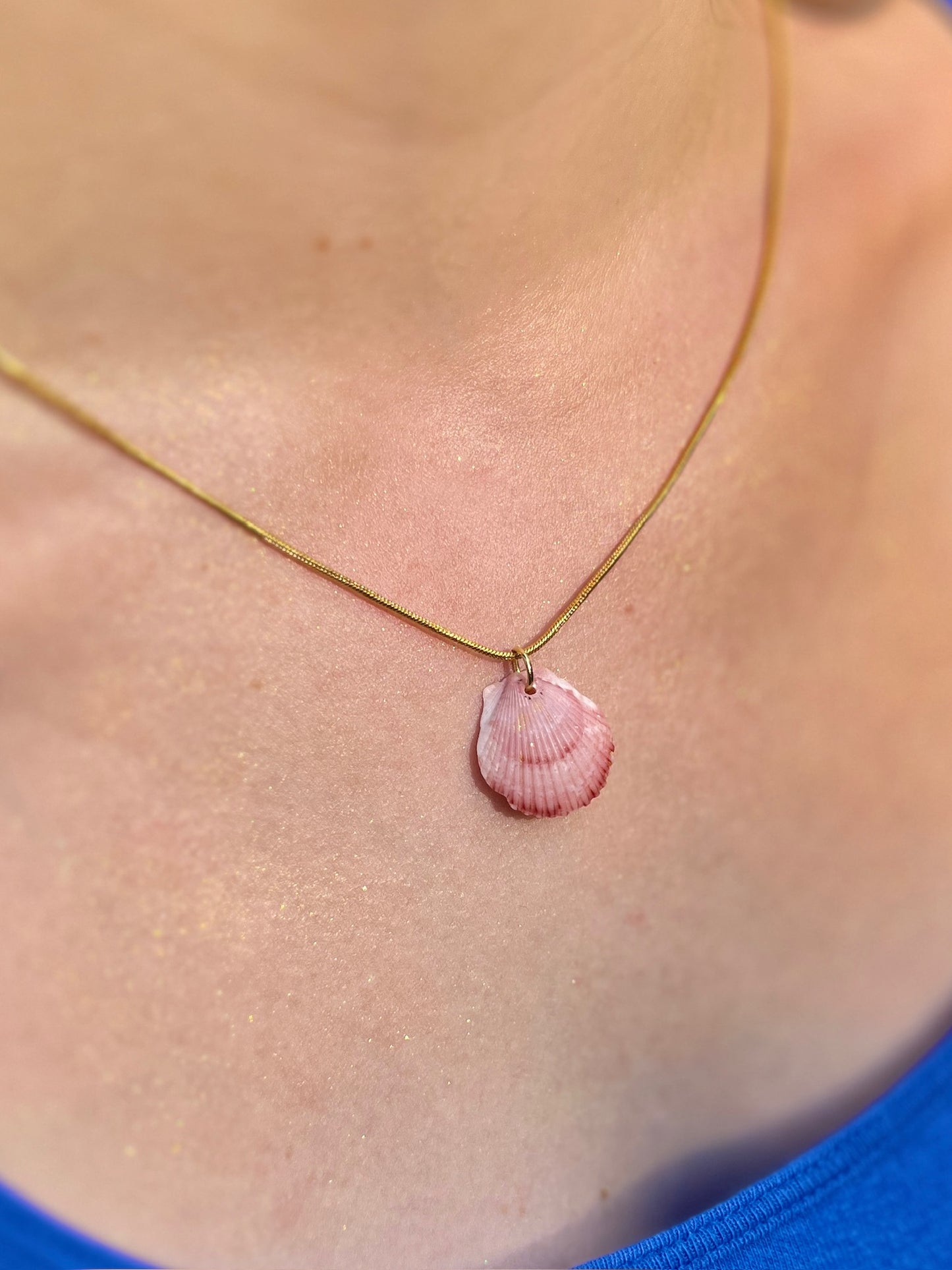 Calico Scallop Hidden Treasure Pendant Necklace