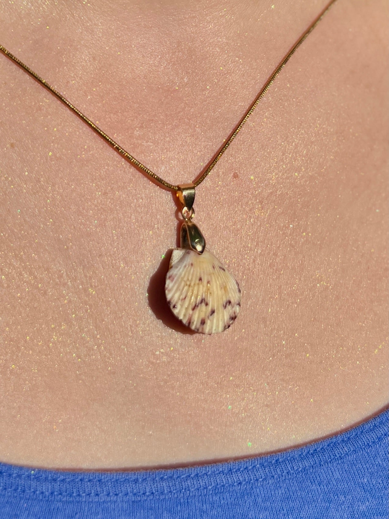 Calico Scallop Hidden Treasure Pendant Necklace