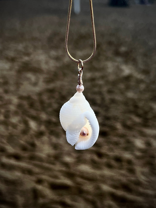 Voice of the Ocean Scotch Bonnet Pendant Necklace