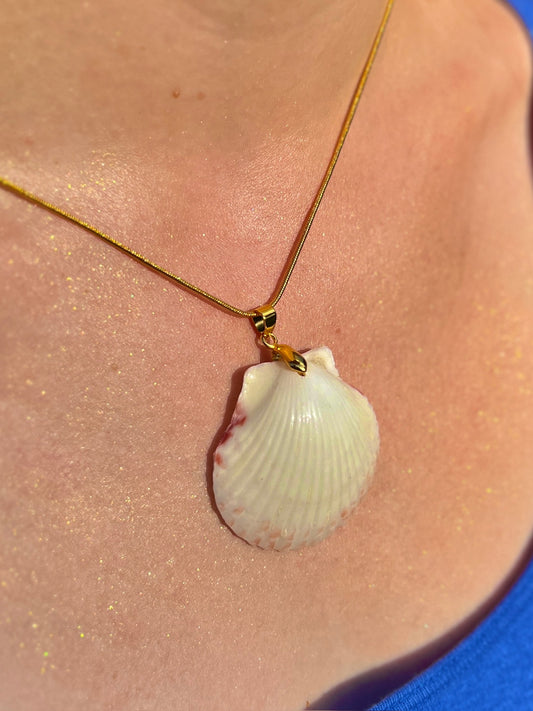 Calico Scallop Pendant Necklace