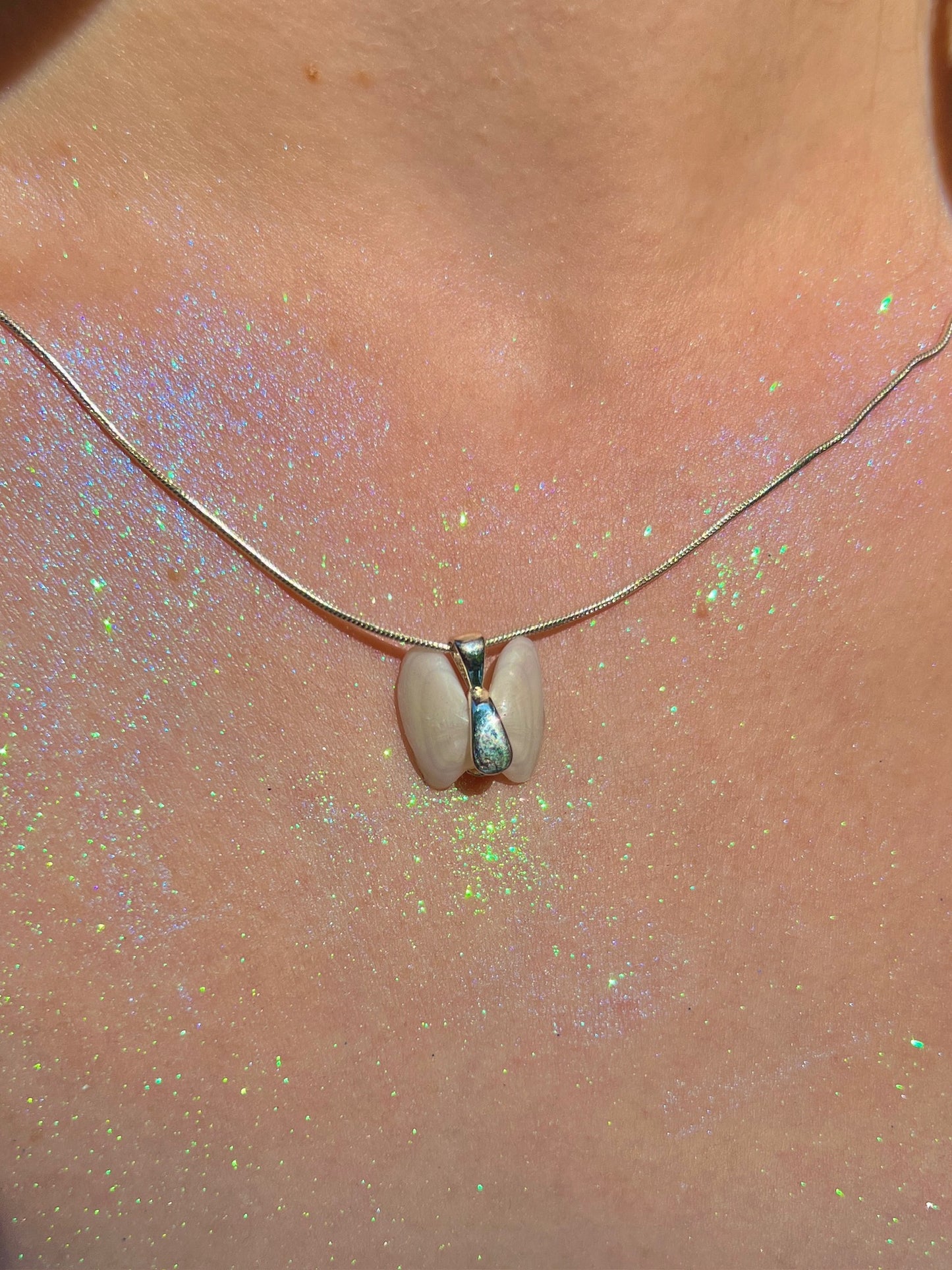 Coquina Shell Butterfly Pendant Necklace