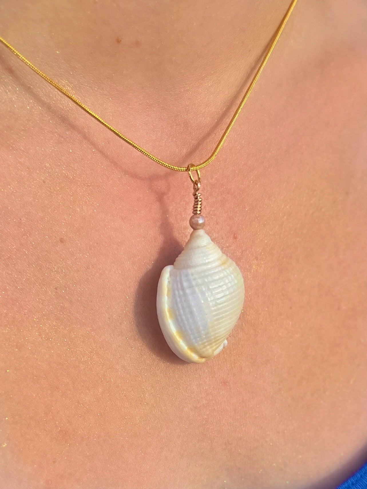 Voice of the Ocean Scotch Bonnet Pendant Necklace