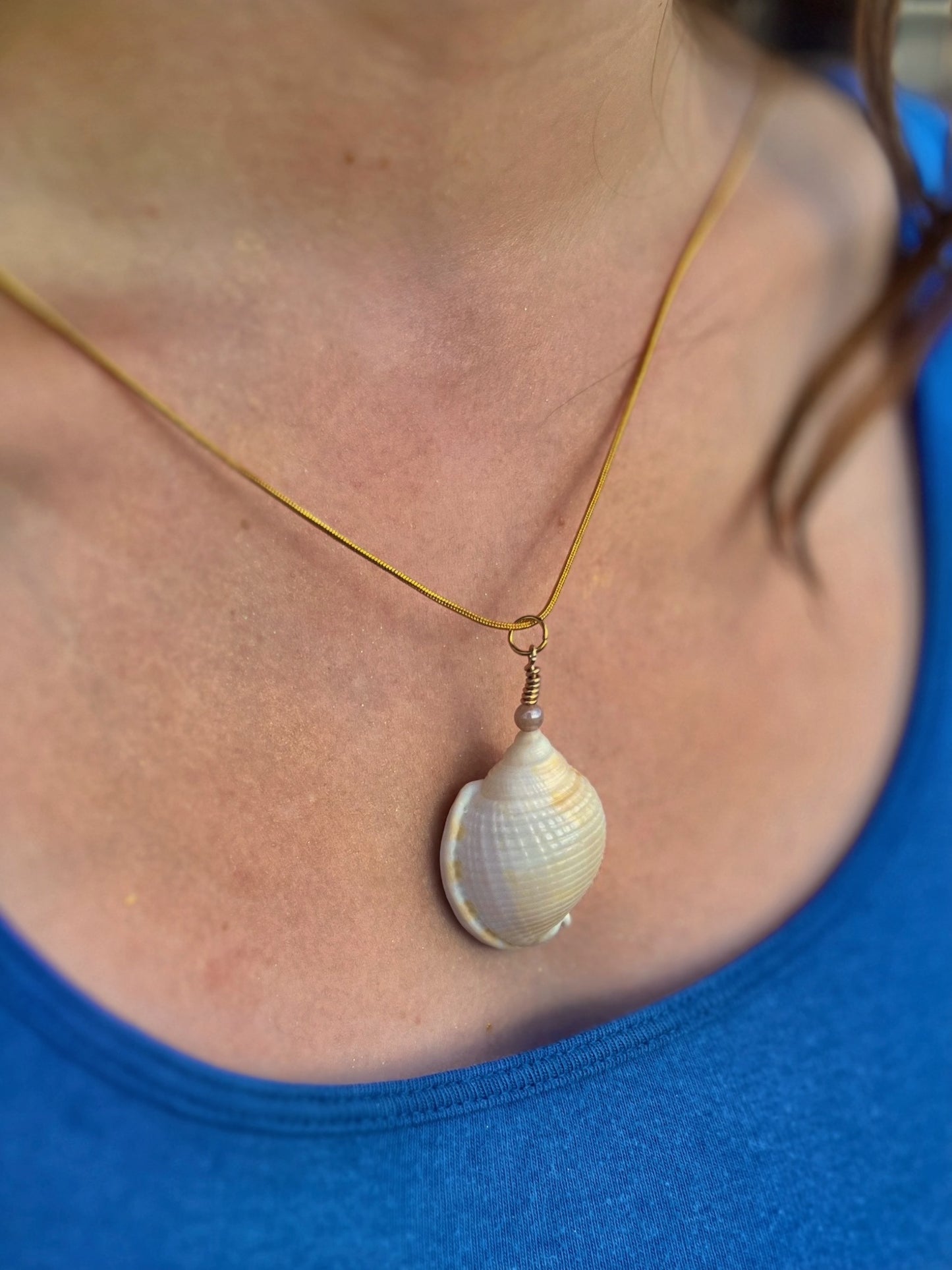 Voice of the Ocean Scotch Bonnet Pendant Necklace