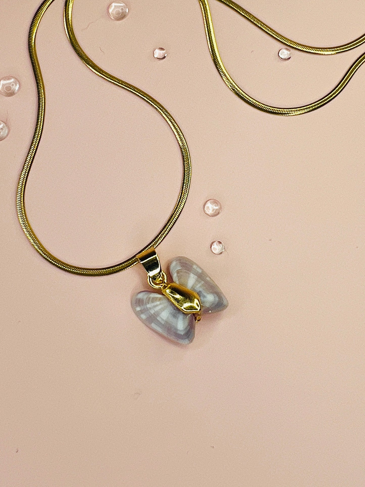Coquina Shell Butterfly Pendant Necklace