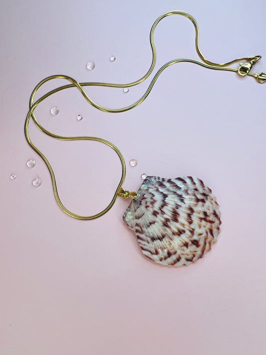 Calico Scallop Pendant Necklace