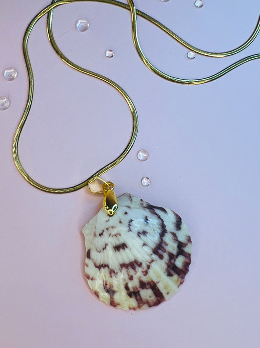 Calico Scallop Pendant Necklace