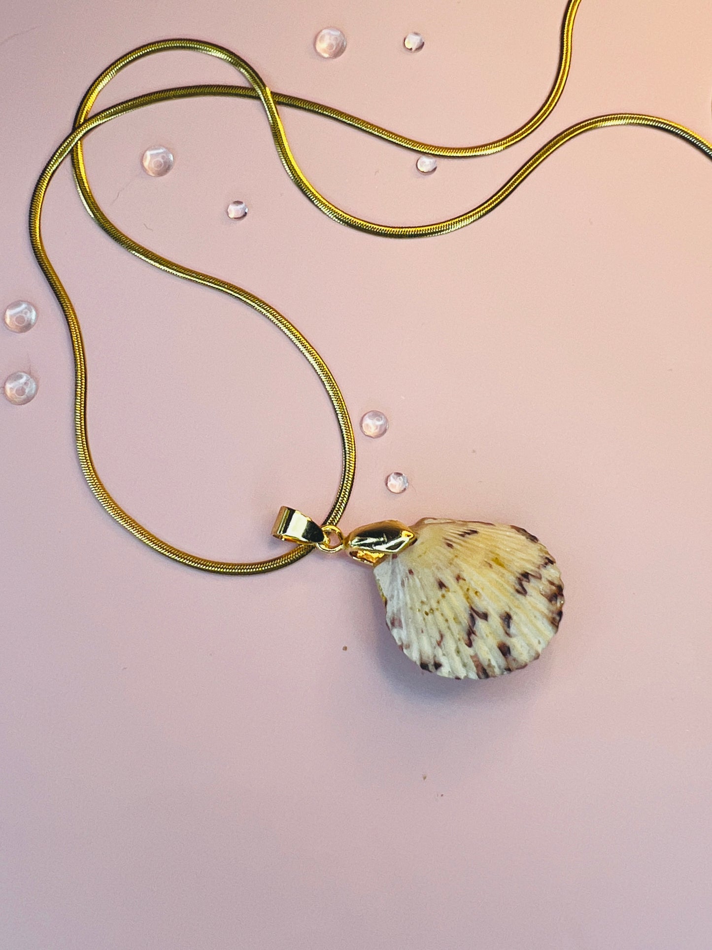 Calico Scallop Hidden Treasure Pendant Necklace