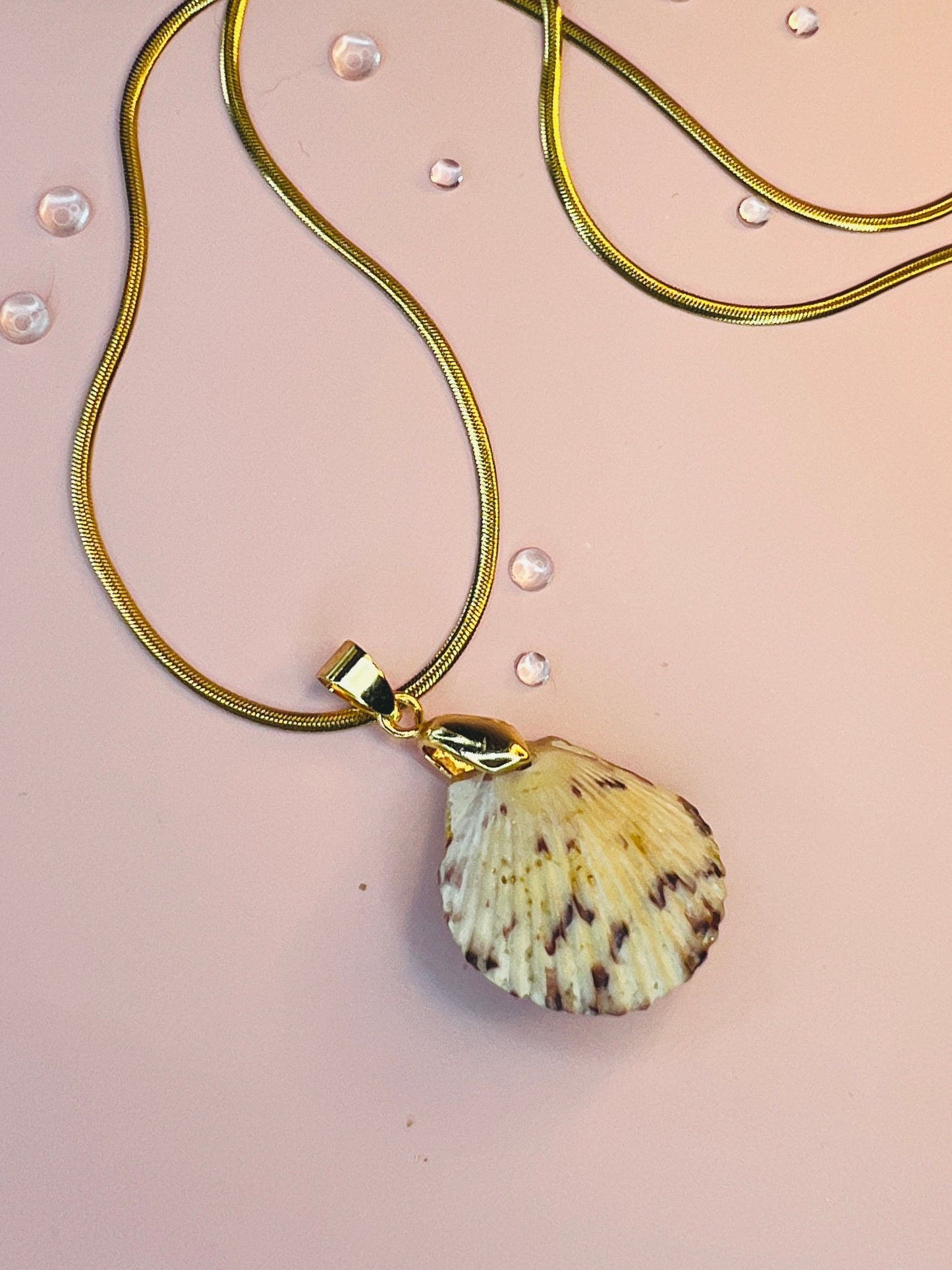 Calico Scallop Hidden Treasure Pendant Necklace