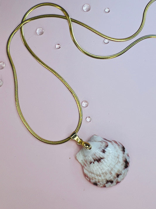 Calico Scallop Pendant Necklace