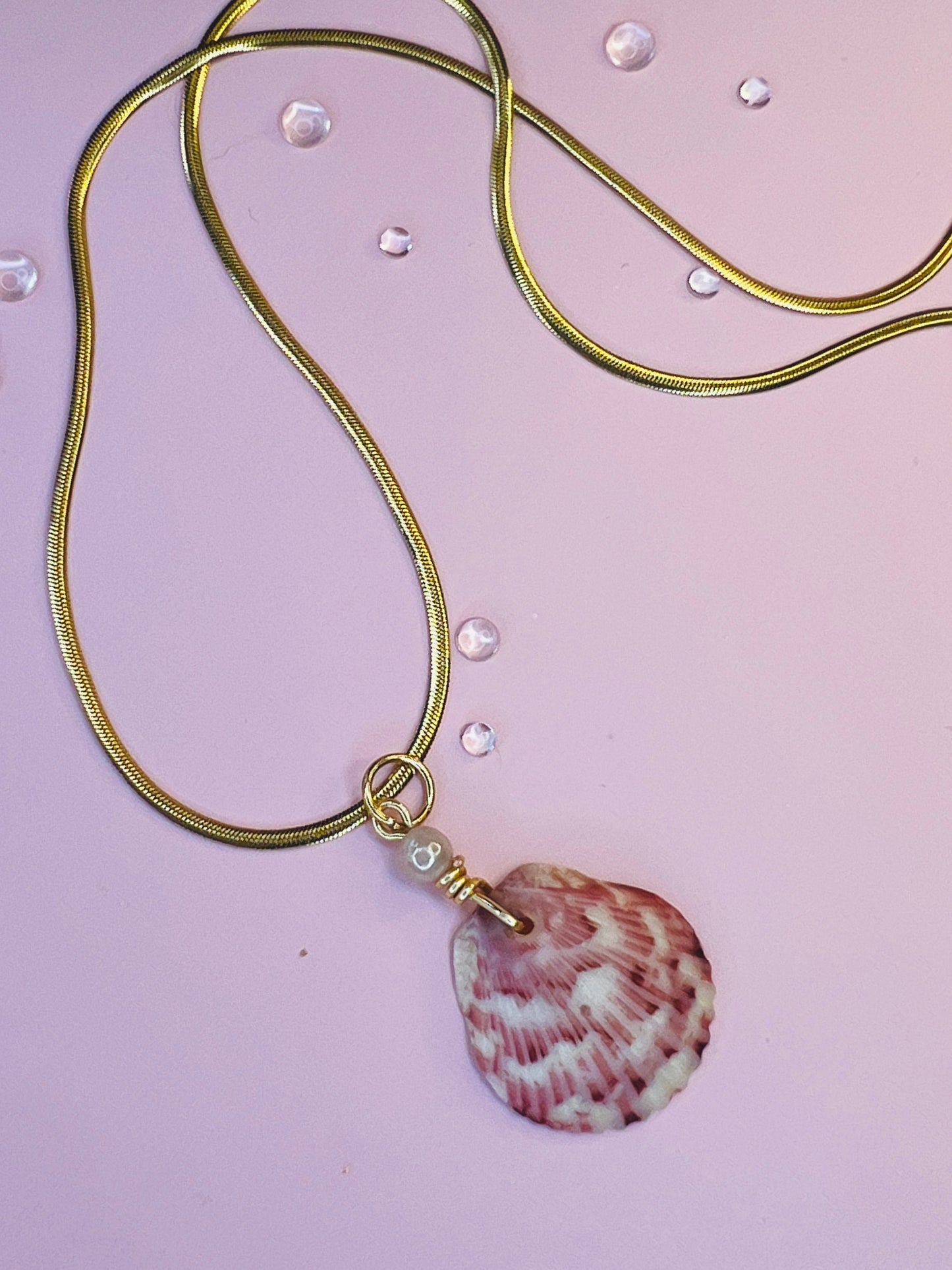 Adorned Calico Scallop Pendant Necklace