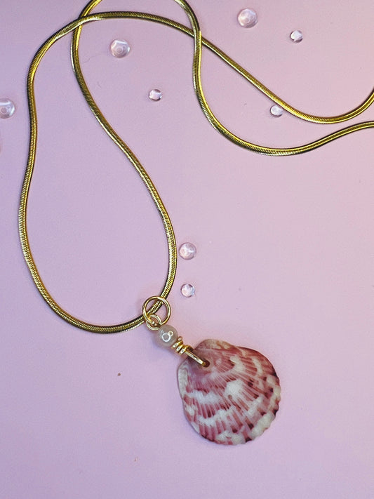 Adorned Calico Scallop Pendant Necklace