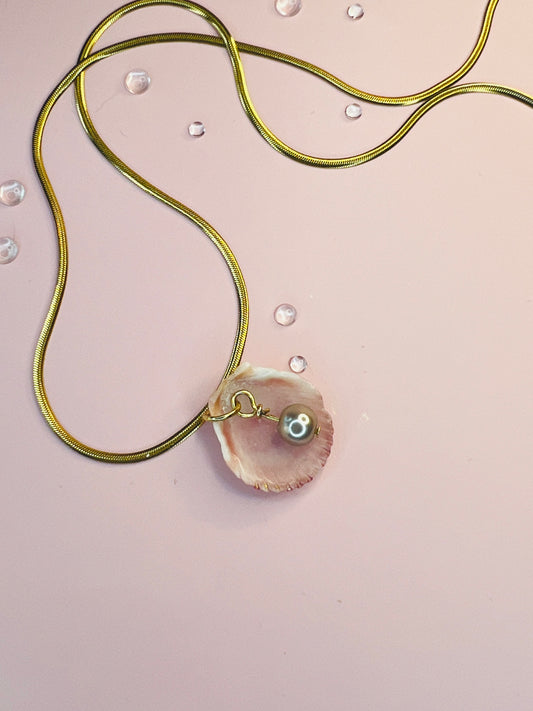 Calico Scallop Hidden Treasure Pendant Necklace
