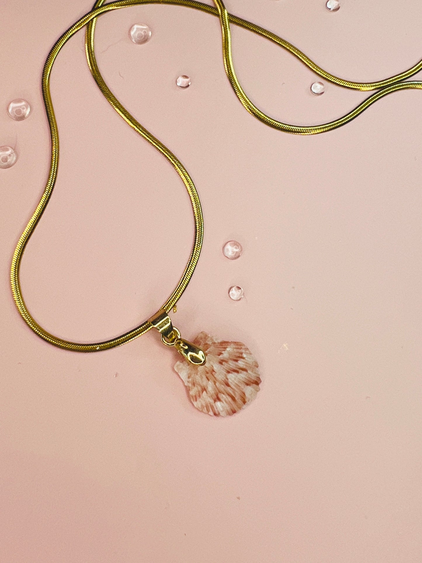 Petite Calico Scallop Pendant Necklace