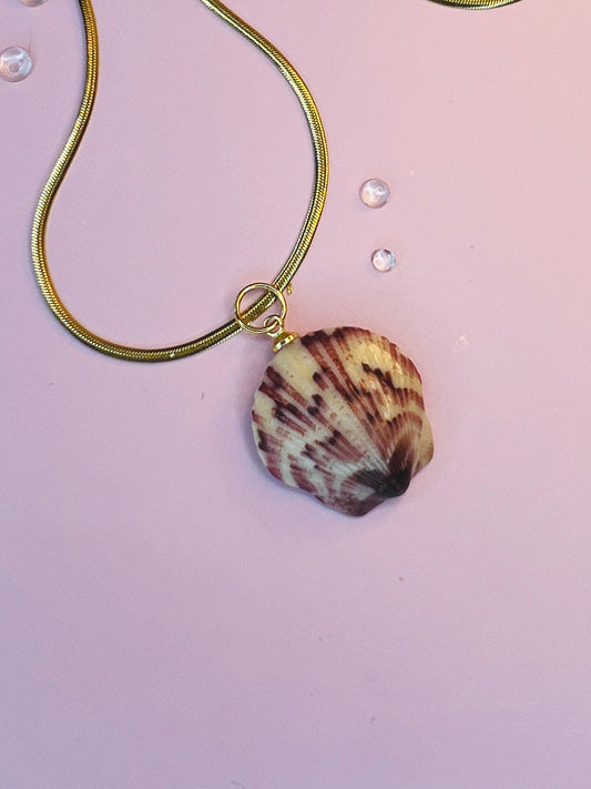 Calico Scallop Pendant Necklace