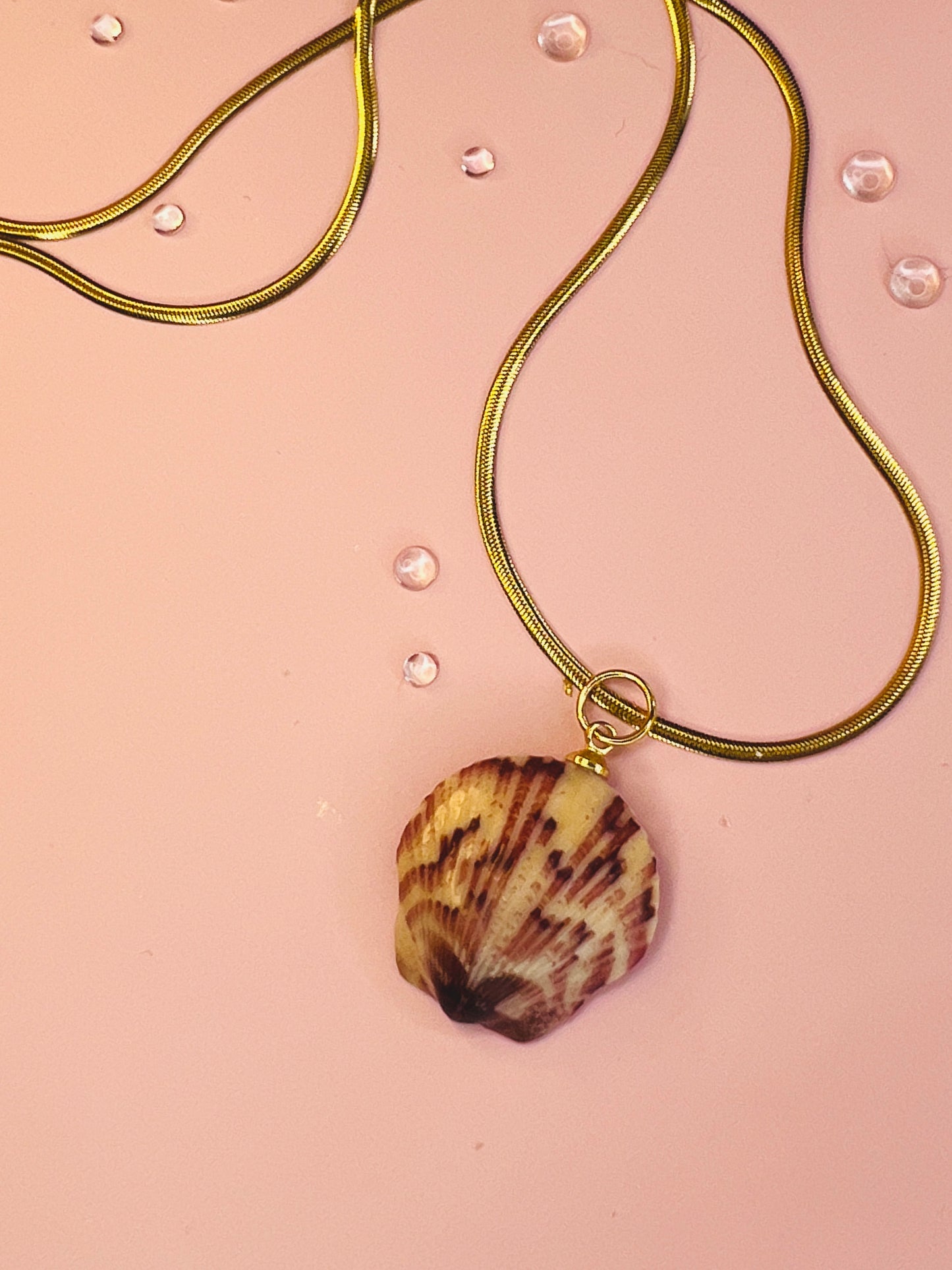Calico Scallop Pendant Necklace