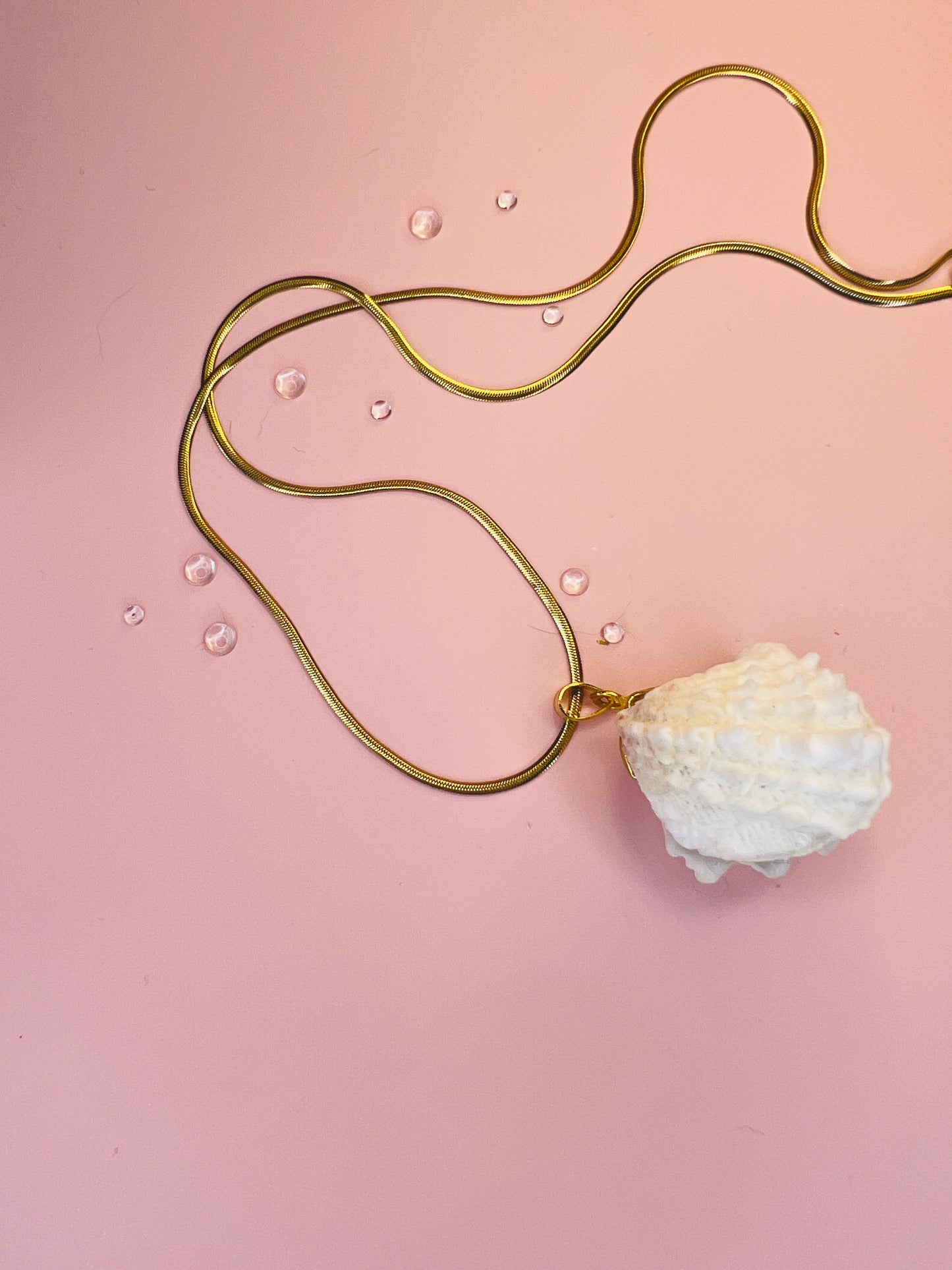 Spiny Jewel Box Pendant Necklace - Pilot