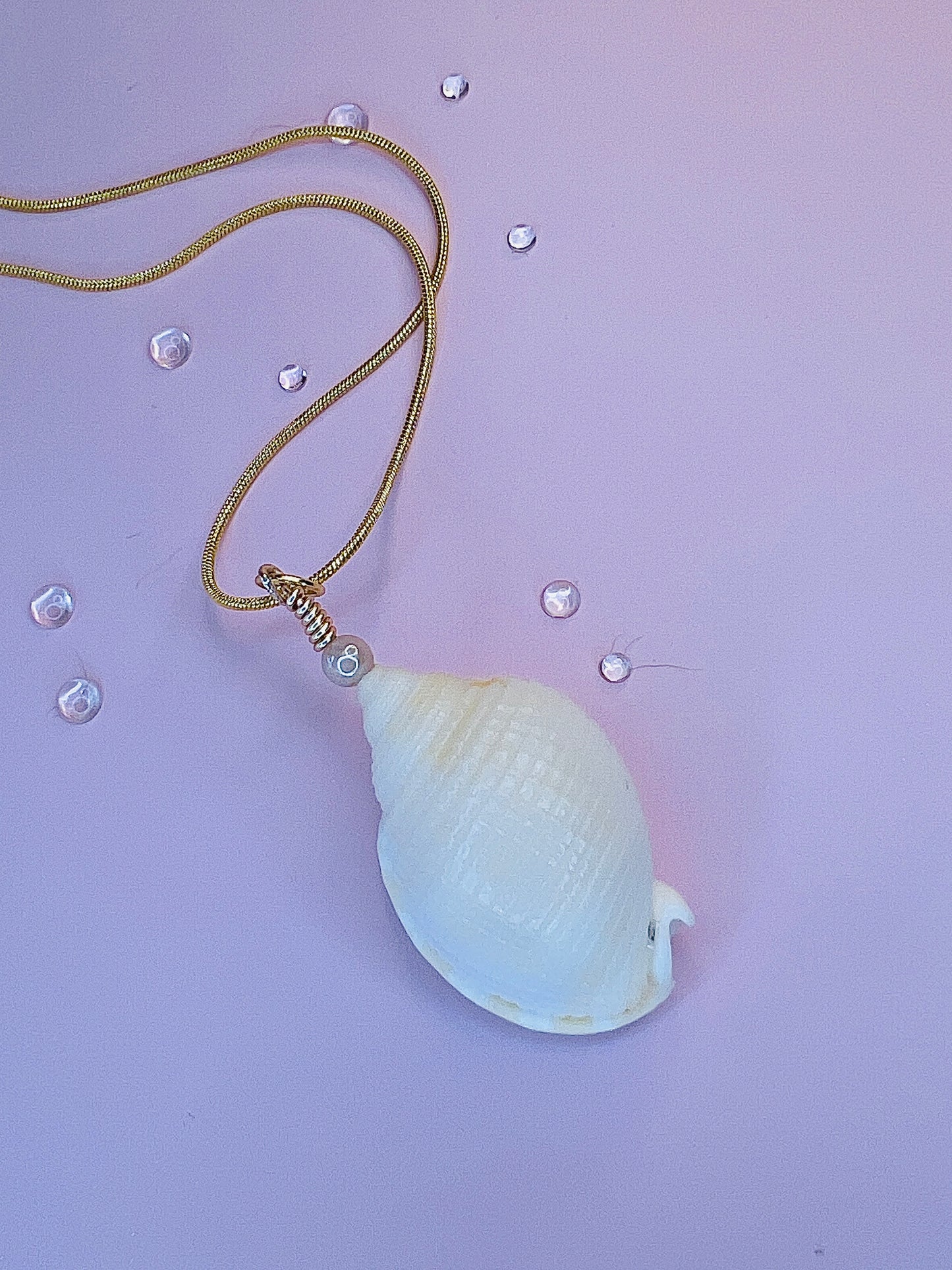 Voice of the Ocean Scotch Bonnet Pendant Necklace