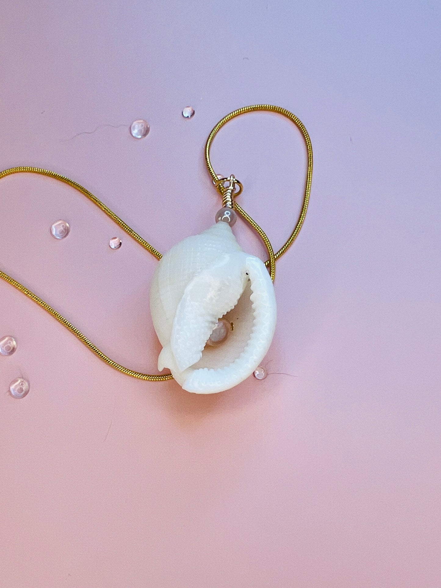 Voice of the Ocean Scotch Bonnet Pendant Necklace