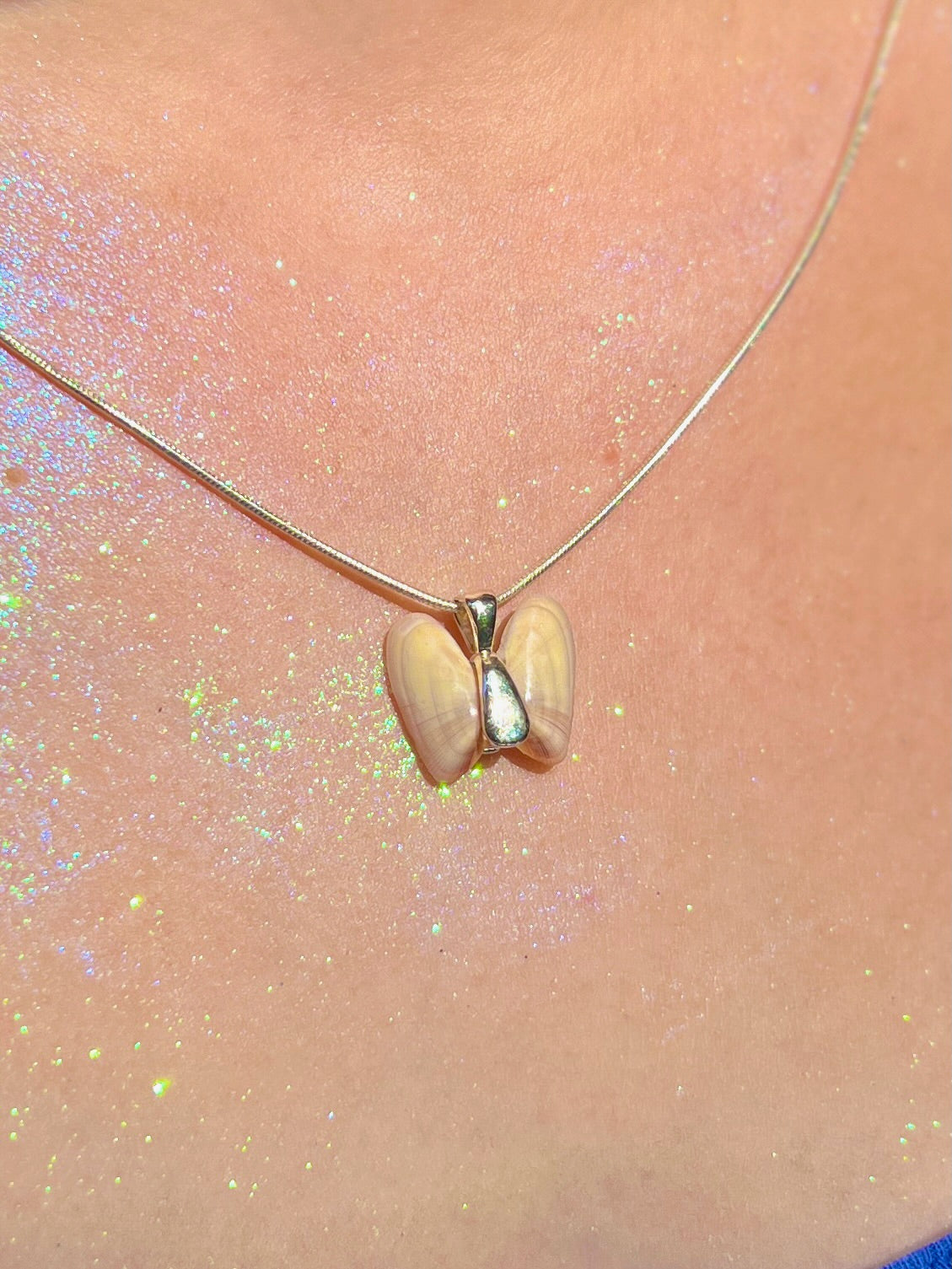 Coquina Shell Butterfly Pendant Necklace