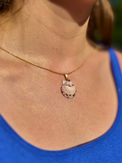 Calico Scallop Pendant Necklace