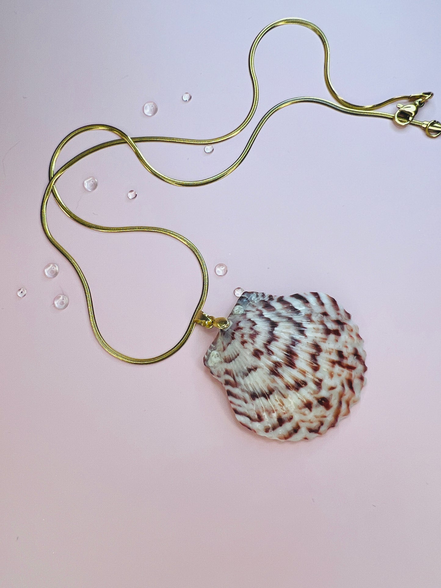 Calico Scallop Pendant Necklace