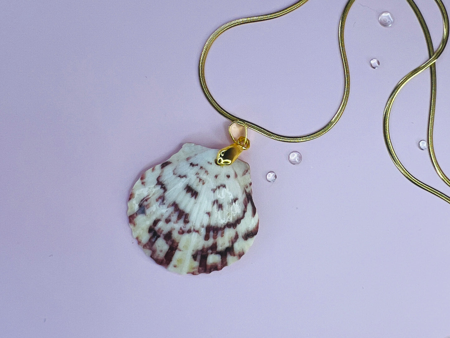 Calico Scallop Pendant Necklace