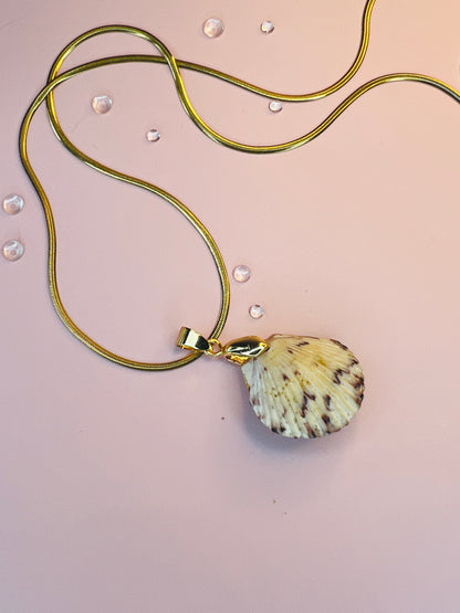 Calico Scallop Hidden Treasure Pendant Necklace